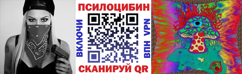 Псилоцибиновые грибы Psilocybine cubensis Касли